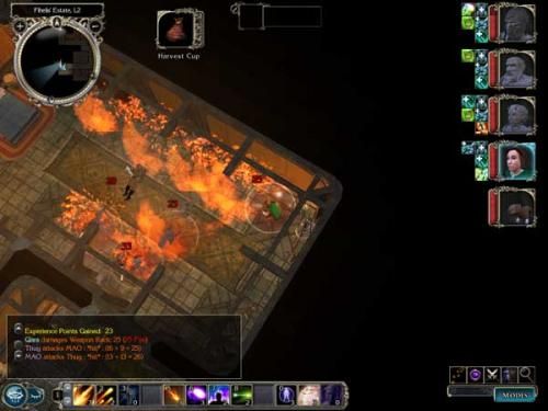 Neverwinter Nights 2 025433,5